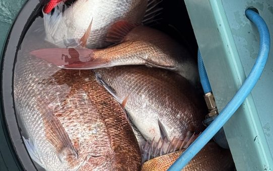 釣物変更で空きあり