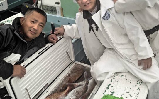 良く釣れました