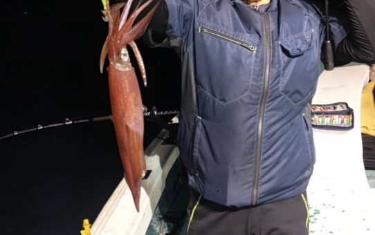 新群れですね！！