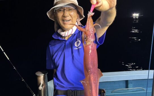 数に差が…
