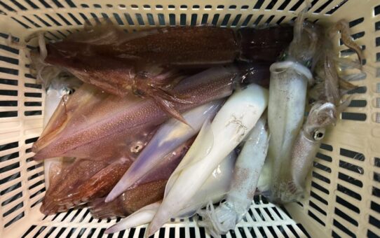まだまだいける！！