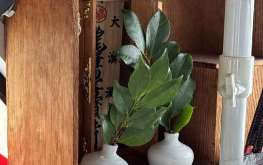 毎月2回のお勤め…