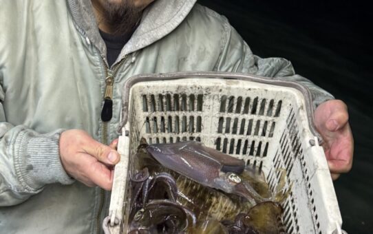 良く分からんよ???