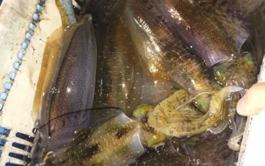 夕方❌夜中⭕️…？？？