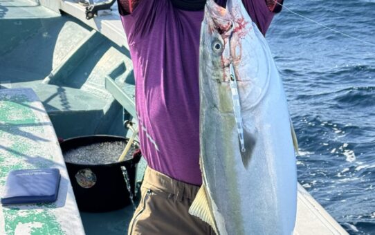 ヤーリー…‼️