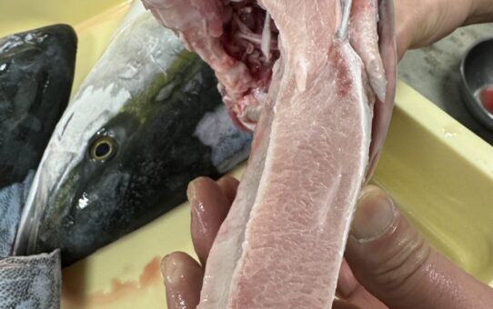 ヤバし…脂が…