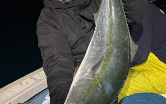 なんとかなった…