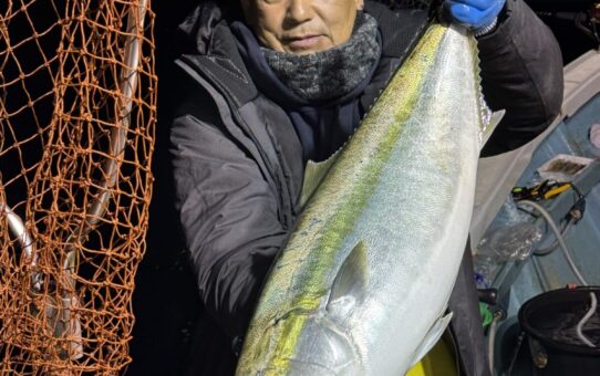 夜中もサメ付き…