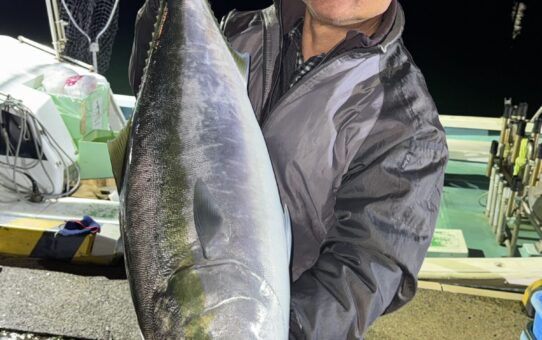 サメサメサメ…