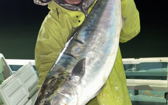 オマツリ地獄‼️