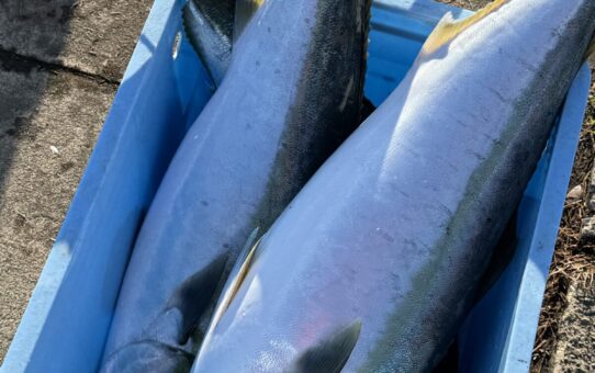 ガラガラです‼️