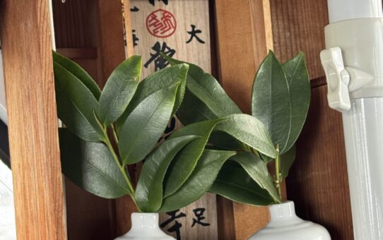 榊、御神酒、お札…