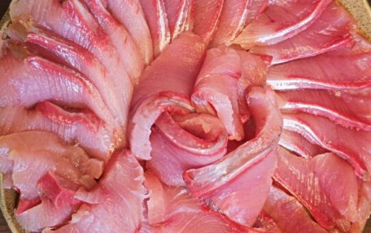 まだまだ行けるよ！！