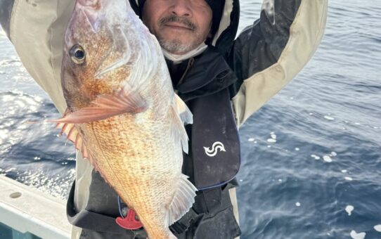 アミエビ多し…