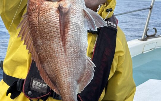 上手くいかず…