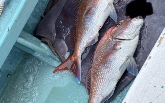 爆…爆…爆！！